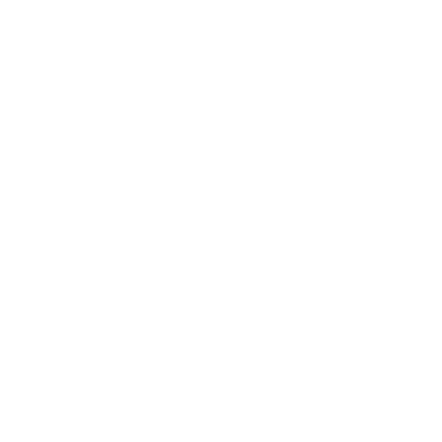 Mouse icon